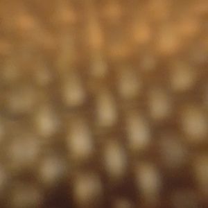 Meet your Posher, Cesar